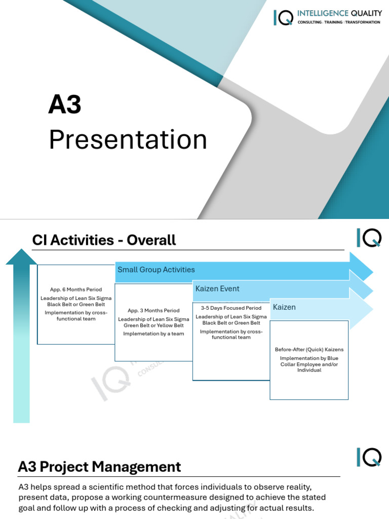 A3 Project Management for Lean Six Sigma | PDF | Project Management | Goal