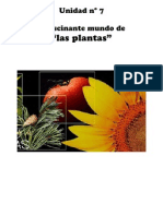 La Planta