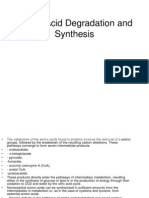 Synthesis of Amino Acids