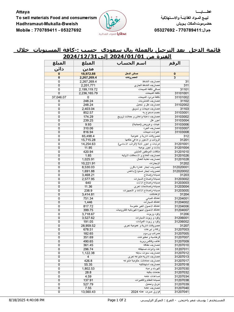 قائمة الدخل 2024 | PDF