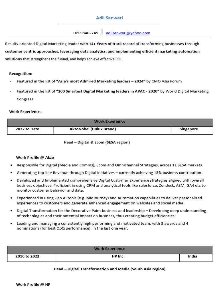 Digital Marketing Leader Profile | PDF | Digital Marketing | Marketing