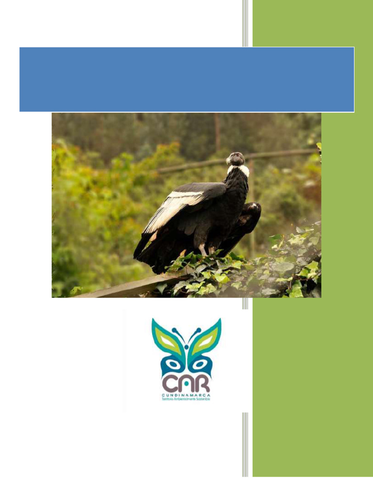 Plan de Conservación del Cóndor Andino | PDF | Colombia | Bogotá