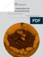 Biochar in Agricultural Productivity_Technical Report