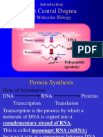 15899 Central Dogma