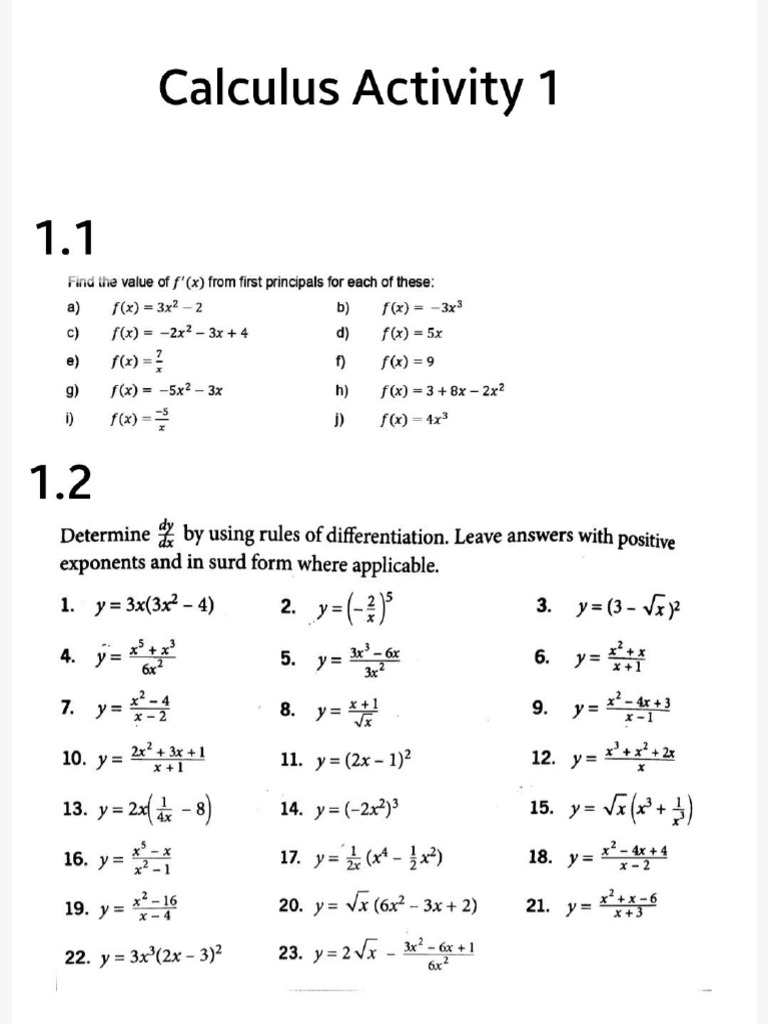 Calculus Activity 1 | PDF