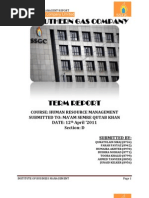 Download Hrm Term Report by Vijay Kumar Jaisinghani SN90515412 doc pdf