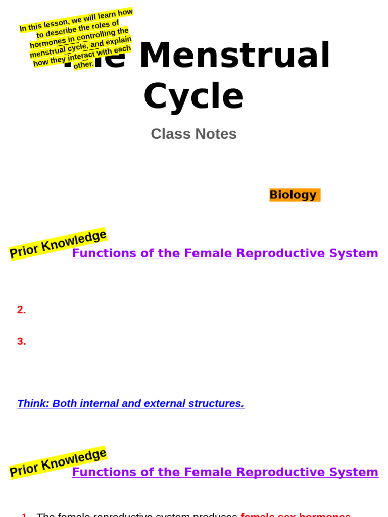 Diagram of the Menstrual Cycle | PDF | Menstrual Cycle | Ovary
