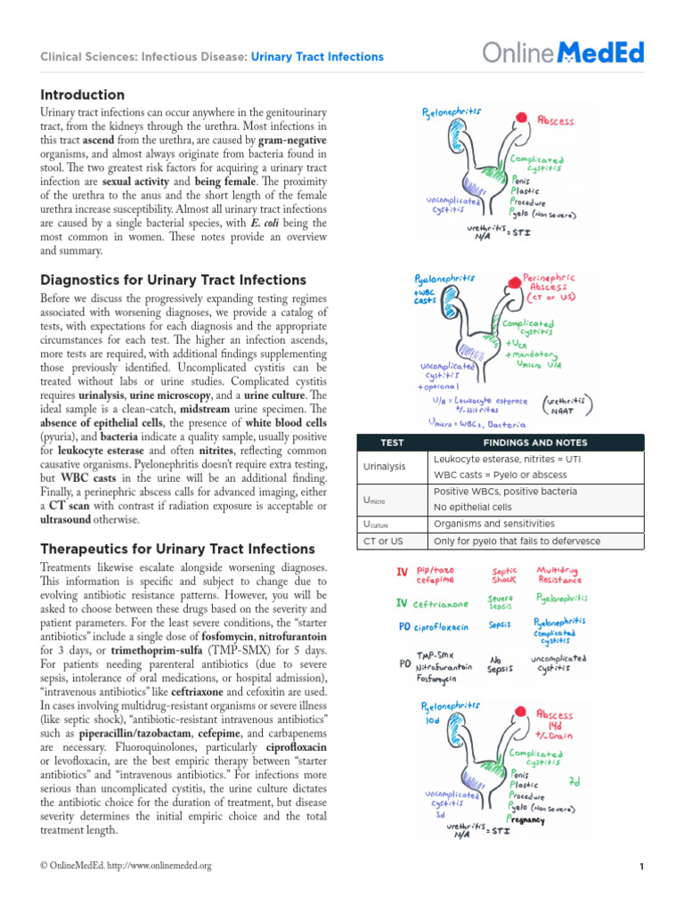 Urinary Tract Infections: Diagnosis & Treatment | PDF | Urinary Tract ...