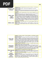 Norbi Update Receptek Pdf