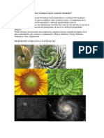 Download Informe proporcin aurea by PBs Bros SN90519835 doc pdf