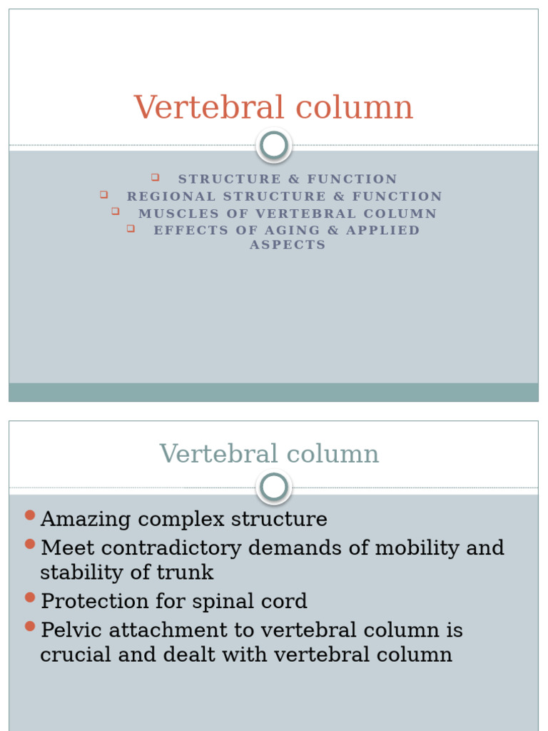 Vertebral Column... Biomechanics | PDF | Vertebra | Musculoskeletal System