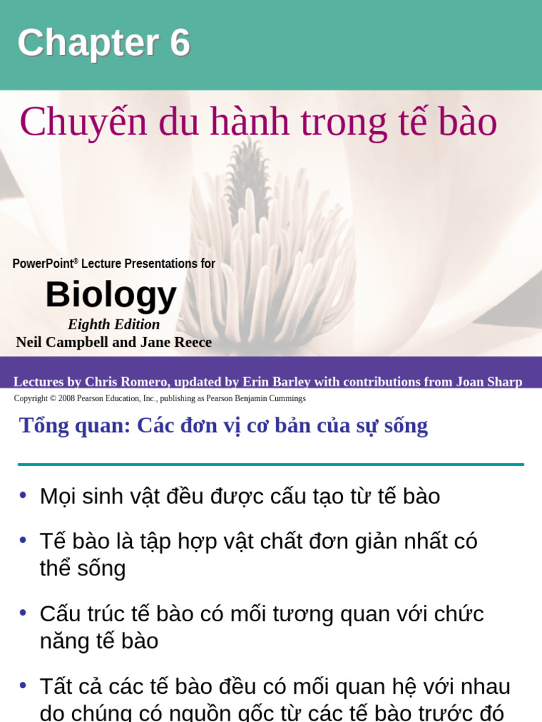06 Lecture Presentation | PDF