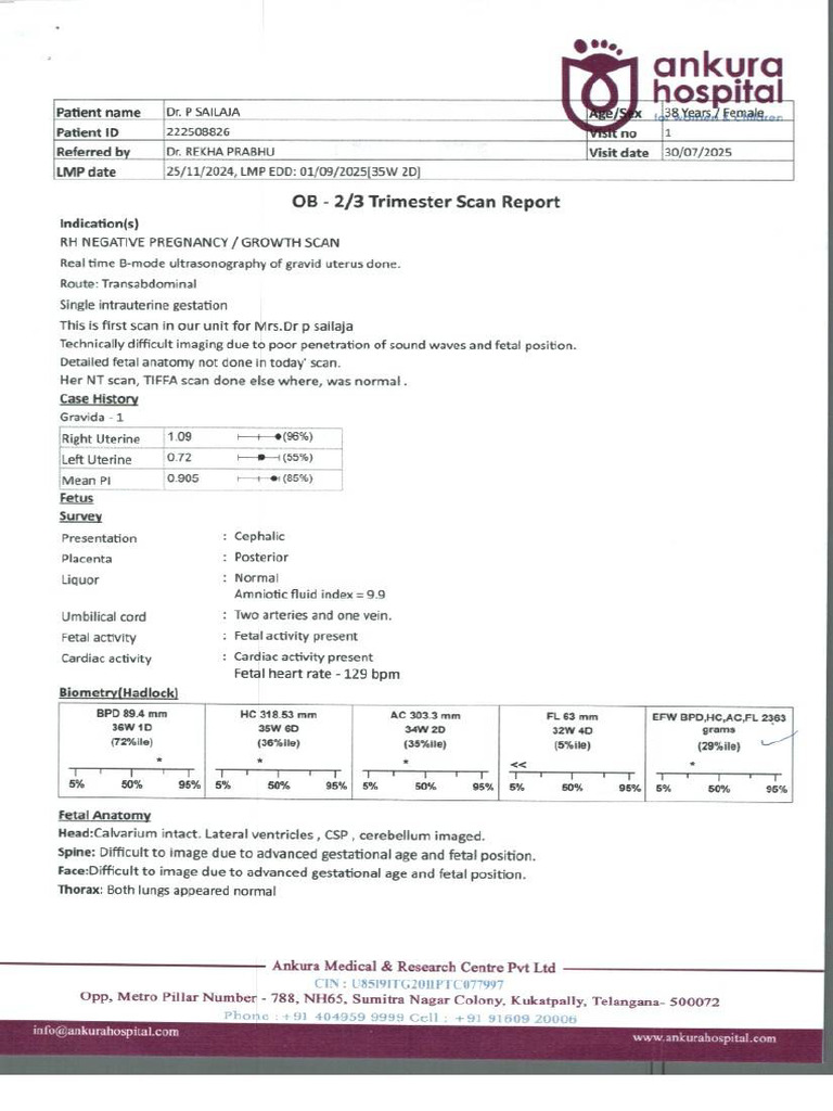 Scan Report | PDF