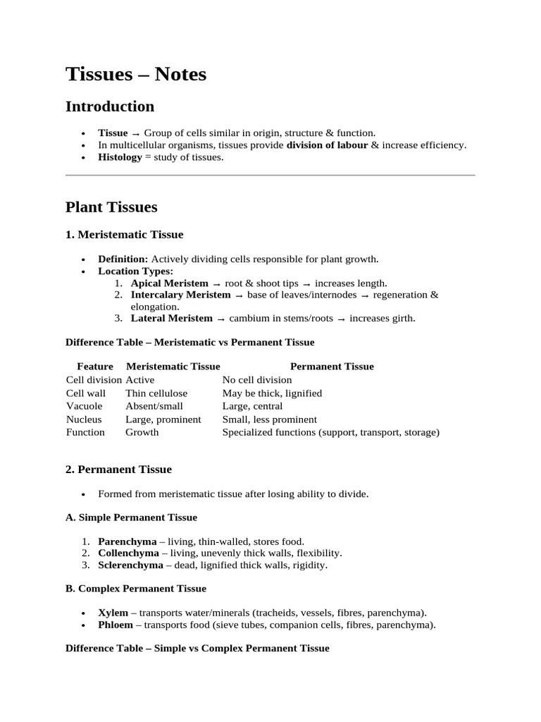 Chapter-6 Tissue Notes | PDF | Tissue (Biology) | Epithelium