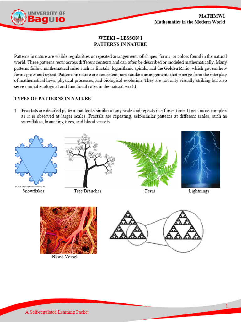 Patterns in Nature: Types and Examples | PDF | Pattern | Symmetry