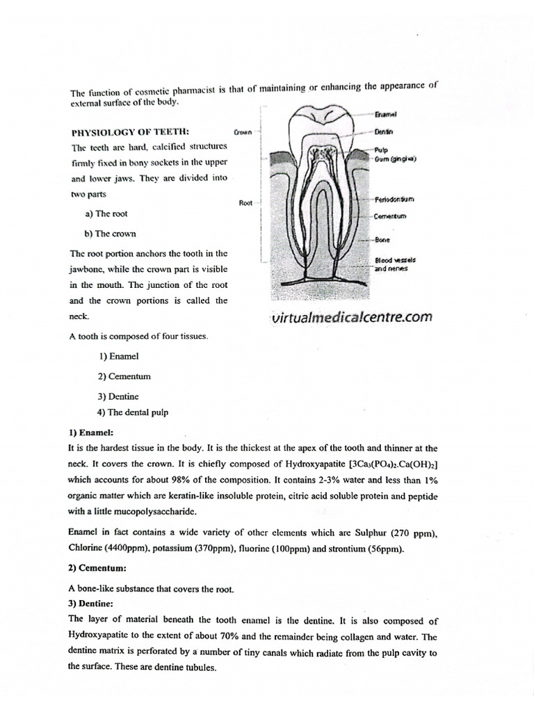 Cosmetology (Sheet 3) | PDF