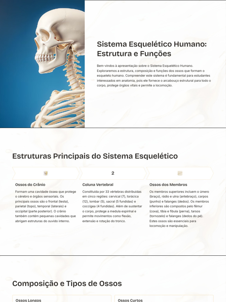 Funções do Sistema Esquelético Humano | PDF | Osso | Esqueleto