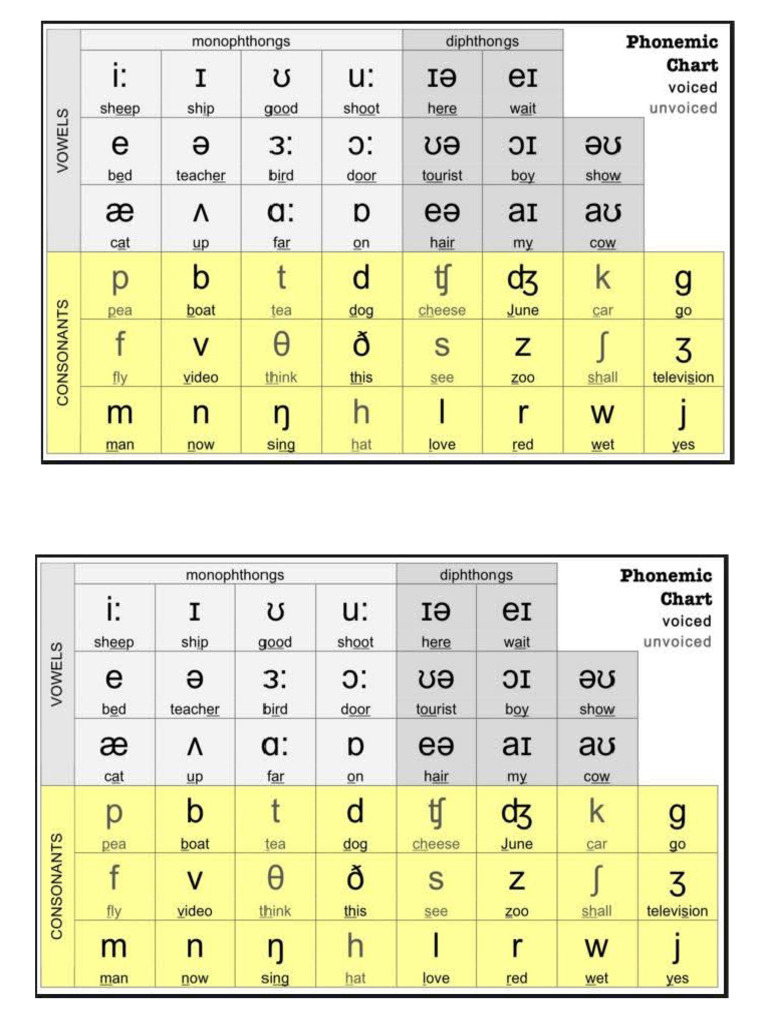 Lesson 2 IPA - Handout | PDF