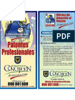 Folleto Patentes Profesionales, Concepción - Chile