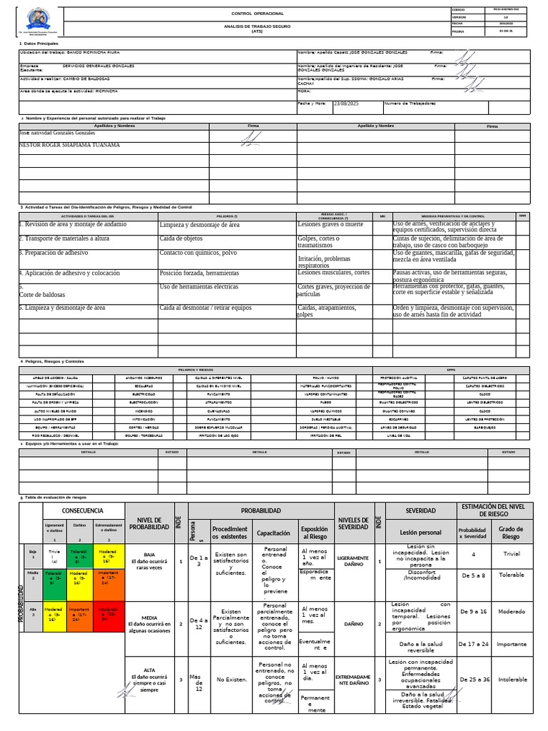 For-Sso-022 Formato de Ats Nuevo | PDF