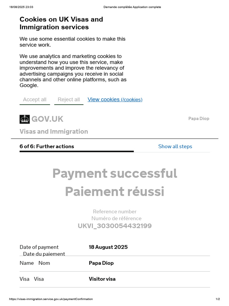 Visa Application Confirmation | PDF