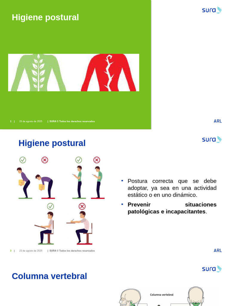 Higiene Postural y Prevención Patológica | PDF | Dolor lumbar