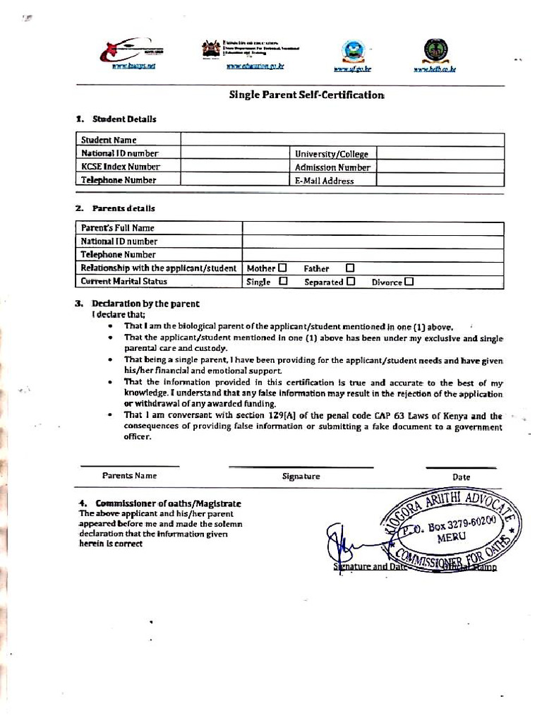 Single Parent | PDF