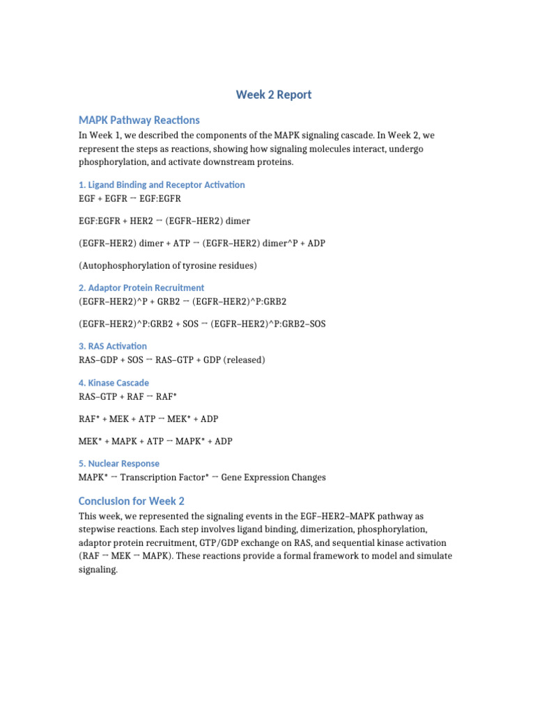 Week 2 Report | PDF