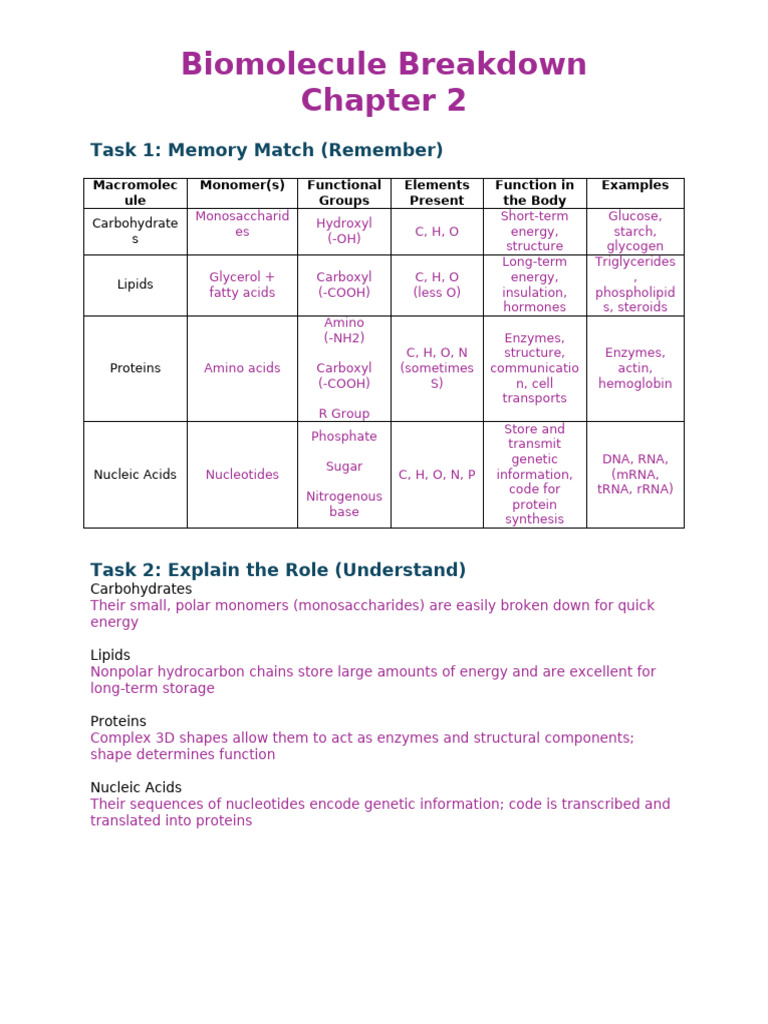 Biomolecule Functions and Structures | PDF | Nucleic Acids | Proteins