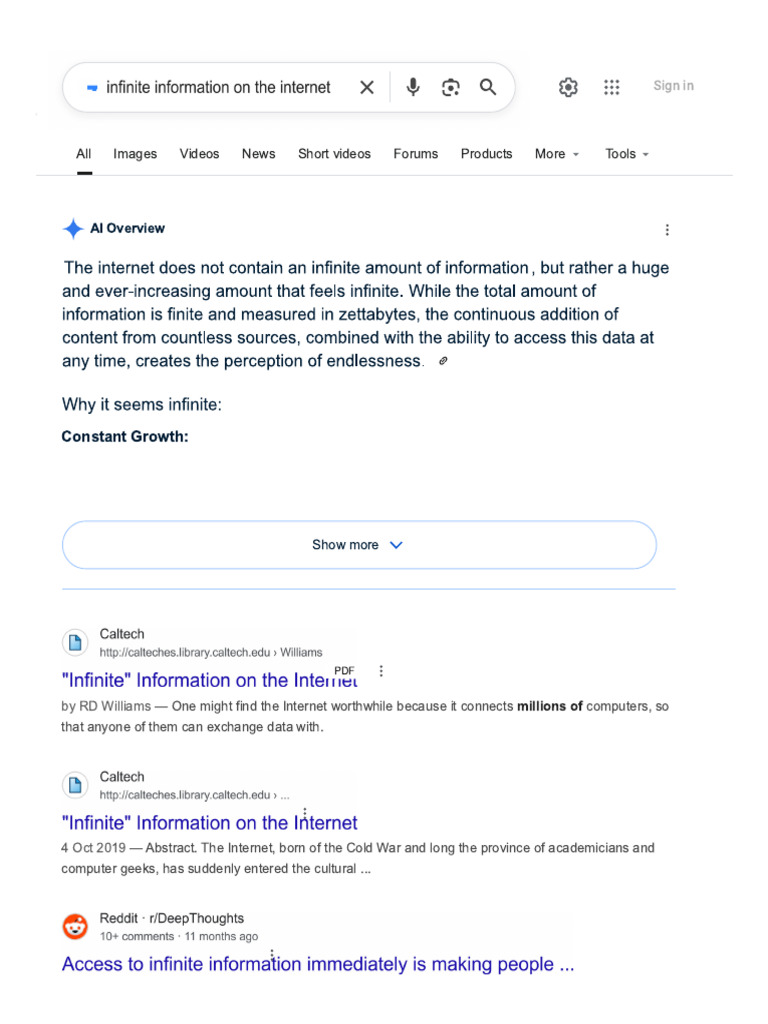 Infinite Information On The Internet | PDF