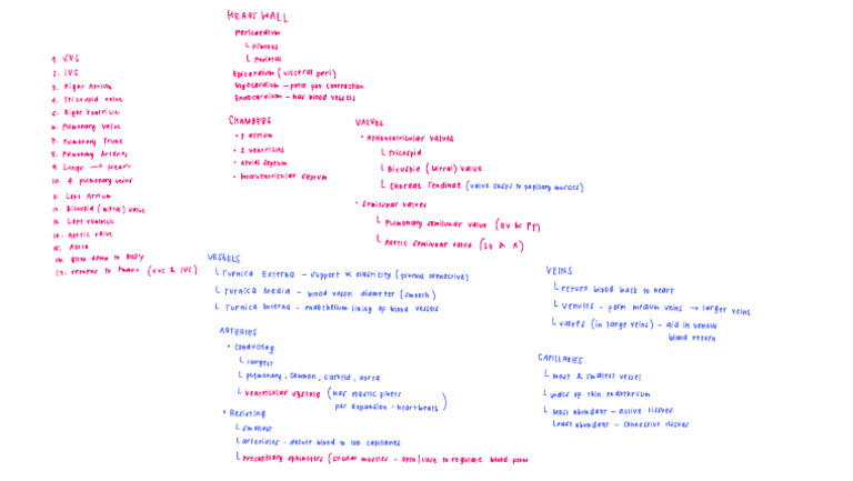 2nd Shifting Notes | PDF | Heart Valve | Heart