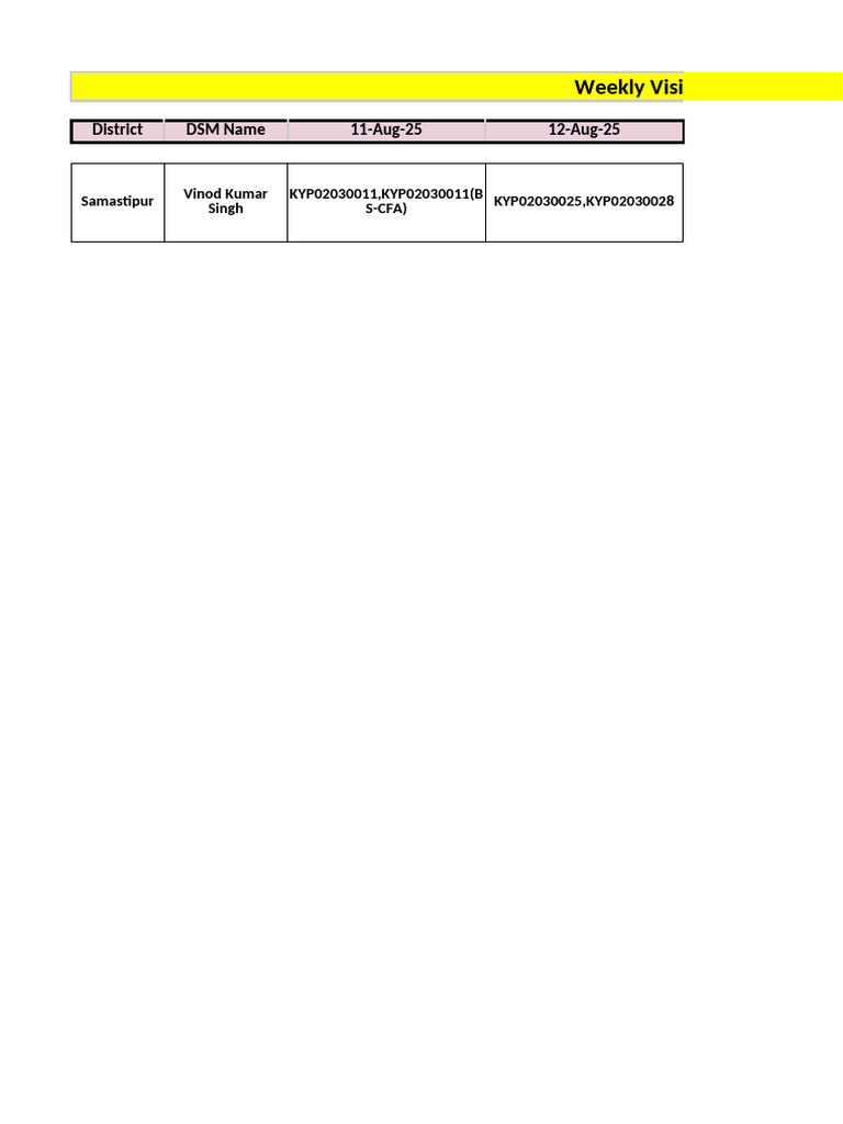 DSM Weekly Visit Plan: Aug 11-16, 2025 | PDF