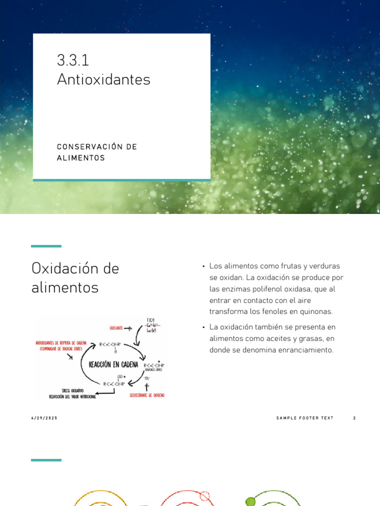 3.3.1 Los Antioxidantes | PDF | Antioxidante | Alimentos