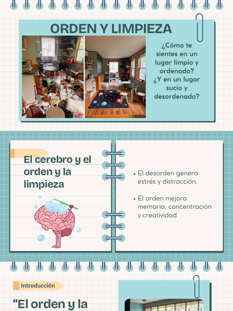 El Orden y La Limpieza | PDF