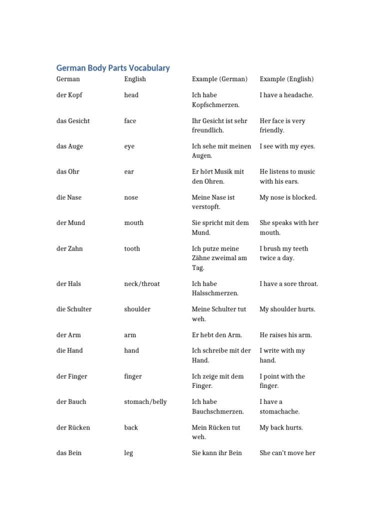 German Body Parts Vocabulary | PDF