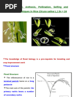 Emasculation Techniques in Plant Breeding | PDF | Flowers | Pollination