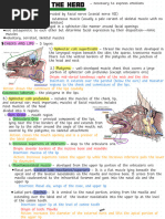 Anatomy and Structure of Lips | PDF | Lip | Human Anatomy
