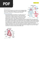 Exercise Impact on Heart Rate Experiment | PDF | Heart Rate | Heart