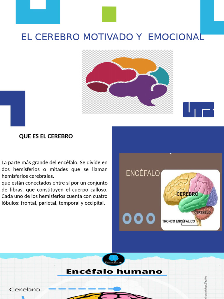 Cerebro Motivado y Emocional | PDF | Cerebro | Las emociones