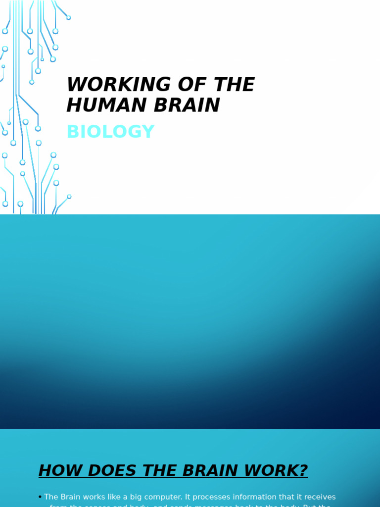 Understanding Human Brain Functions | PDF | Cerebrum | Brain
