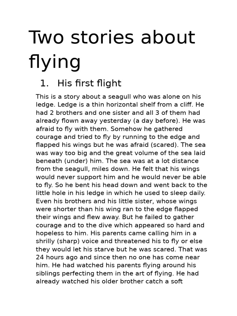 Young Seagull's First Flight Adventure | PDF
