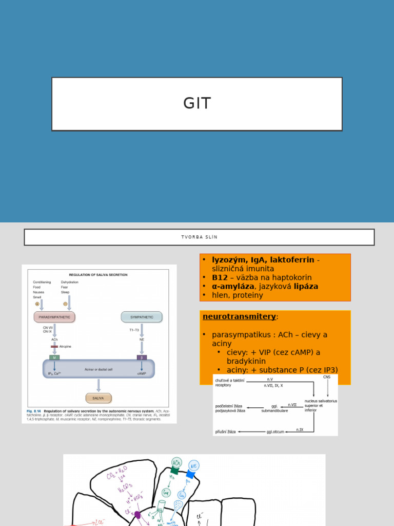 Git | PDF