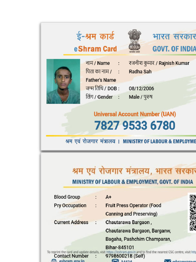 E Shram Card | PDF