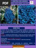 Metameria: Segmentação em Animais | PDF