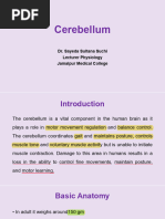 Cerebellum Histology Overview | PDF | Cerebellum | Anatomy