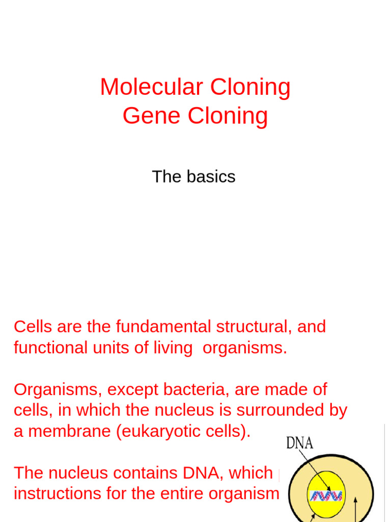 Introduction to Molecular Cloning | PDF | Molecular Cloning | Plasmid