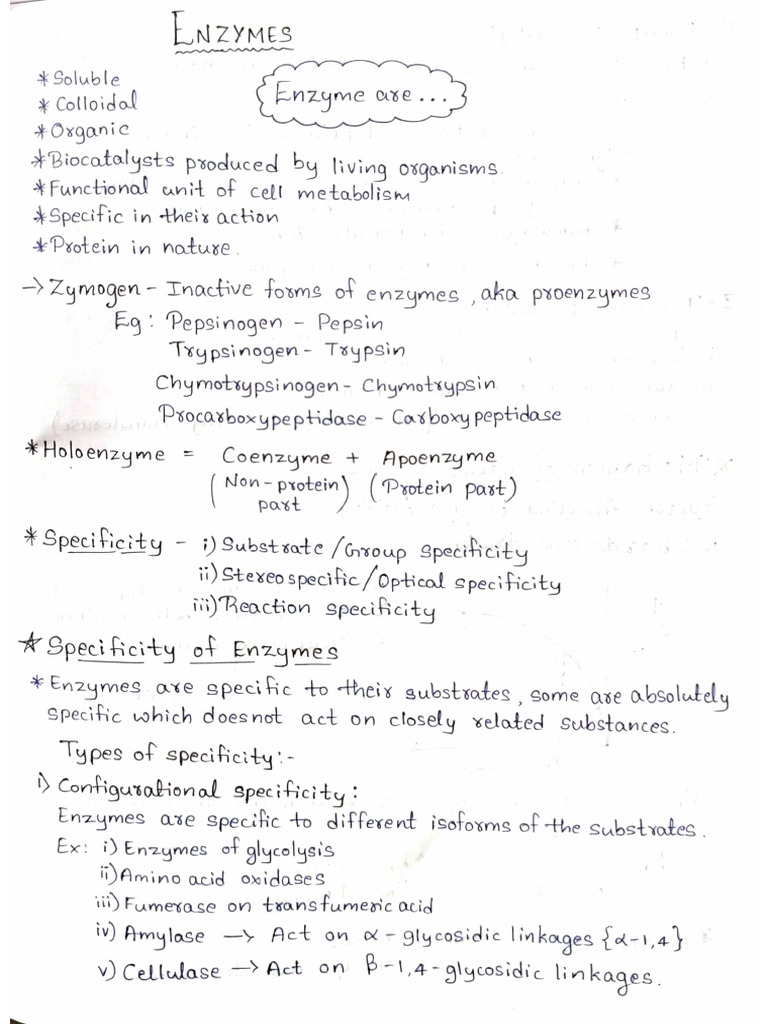 Biochem Notes | PDF