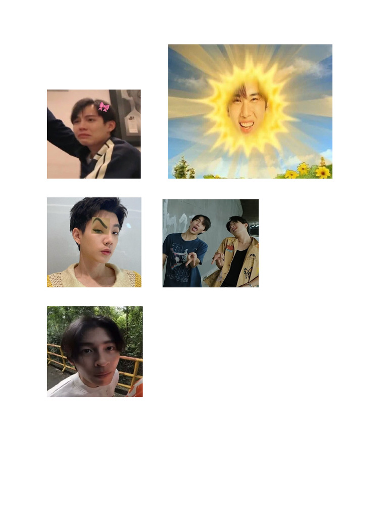 Meme Sticker | PDF