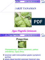 PENYAKIT TANAMAN