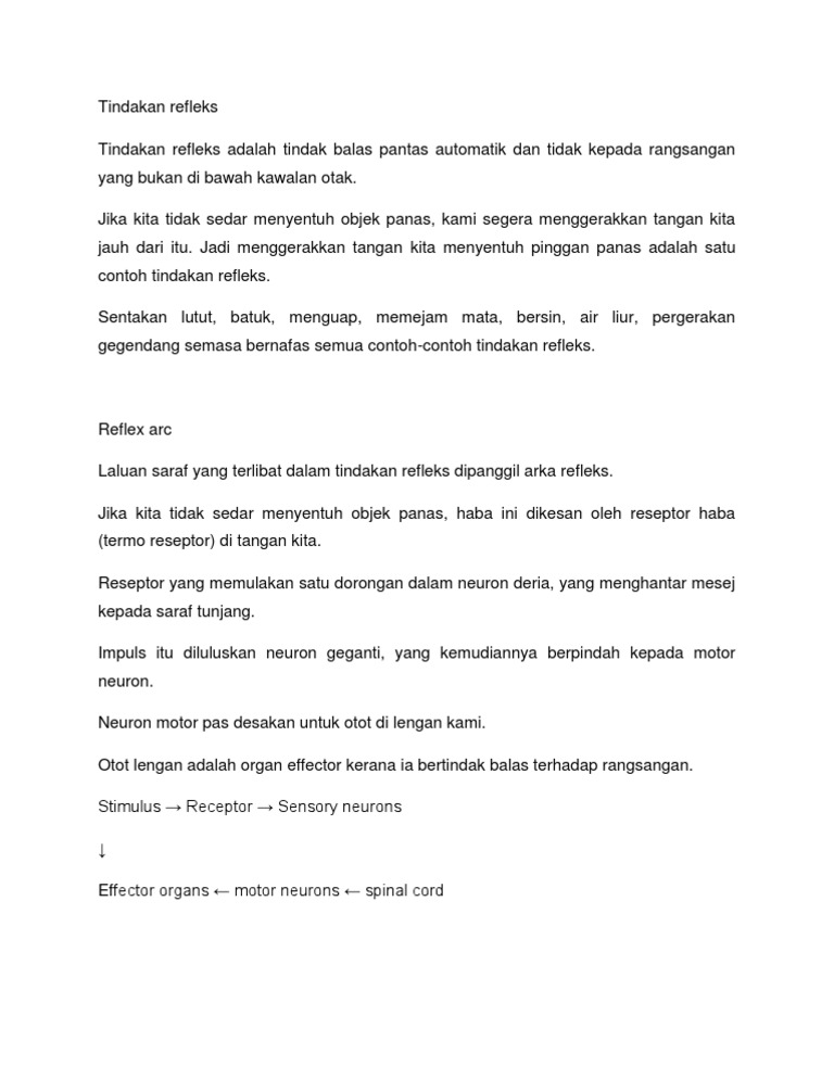 Bab 2 Koordinasi Badan